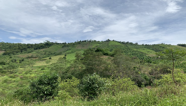 Siêu phẩm 4000m view ruộng bậc thang núi non hùng vĩ trùng điệp bao quanh